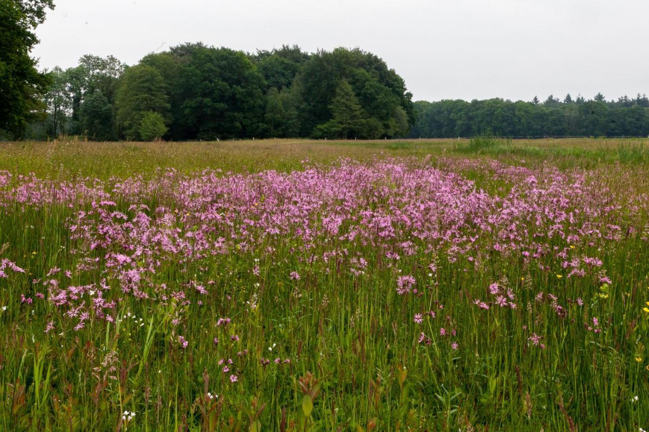 Bed & Breakfast Hoeve Springendal Hezingen ภายนอก รูปภาพ