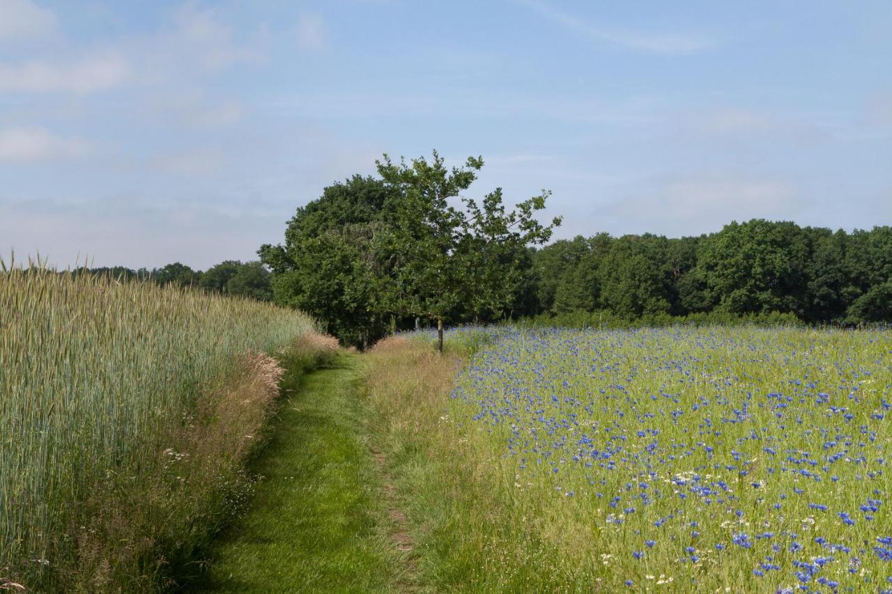 Bed & Breakfast Hoeve Springendal Hezingen ภายนอก รูปภาพ