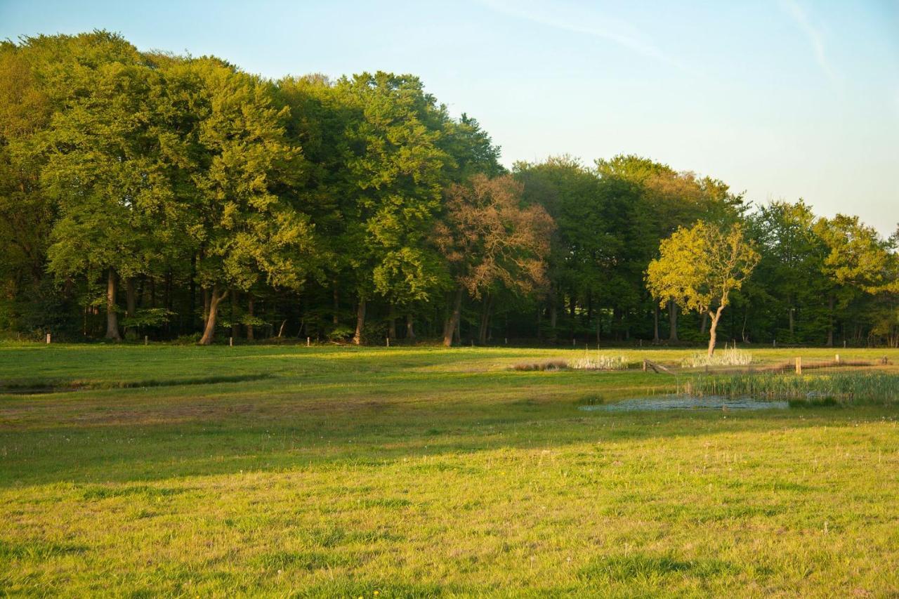 Bed & Breakfast Hoeve Springendal Hezingen ภายนอก รูปภาพ