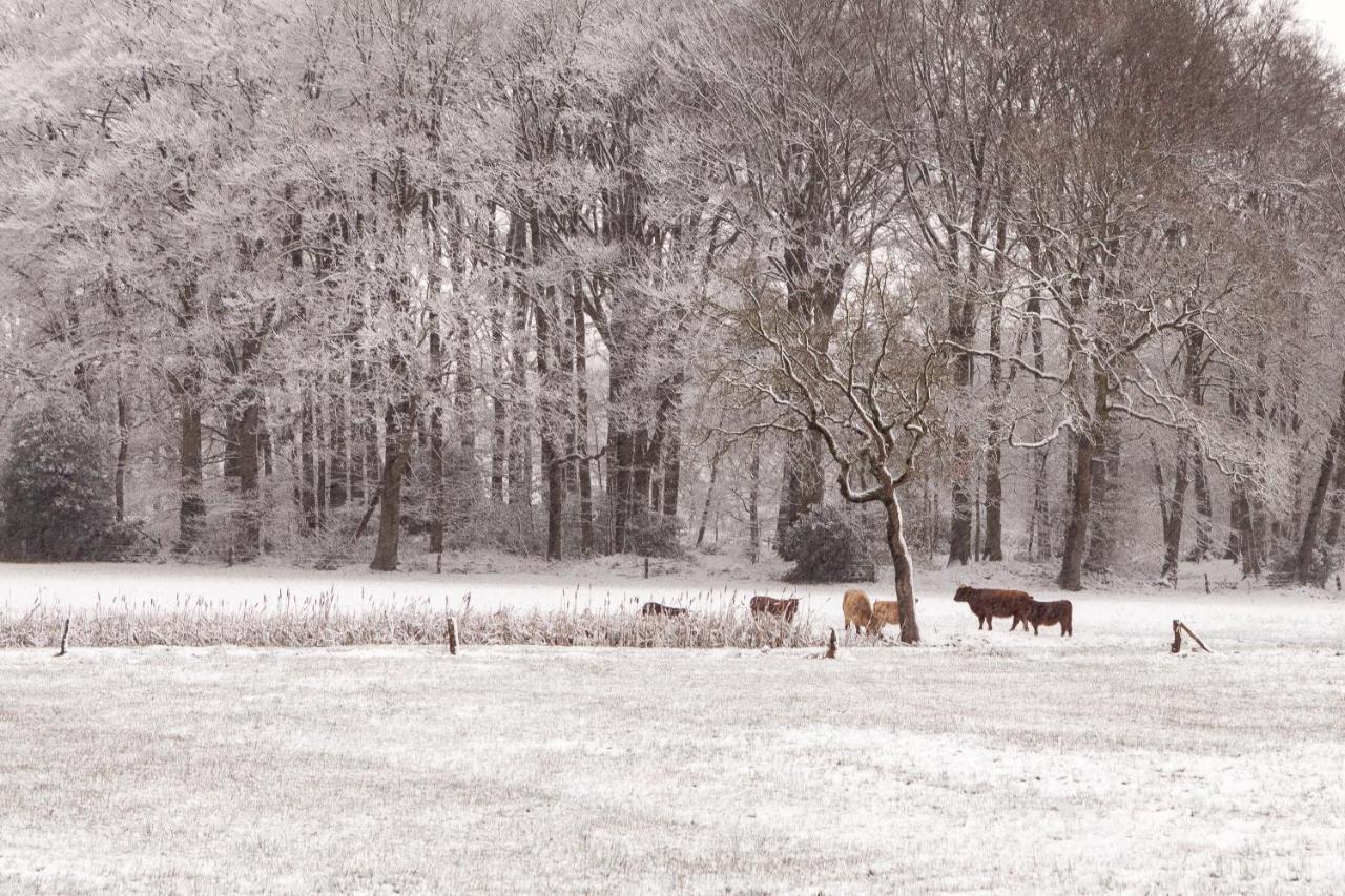 Bed & Breakfast Hoeve Springendal Hezingen ภายนอก รูปภาพ